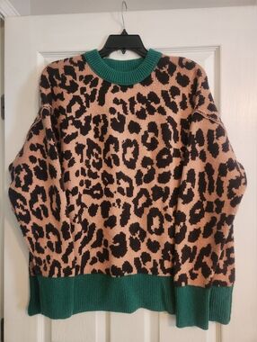 Aerie Green-Trim Leopard Print Sweater